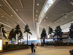 -青岛胶东国际机场