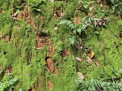 -水濂山森林公园