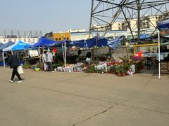 -中环花鸟鱼虫市场