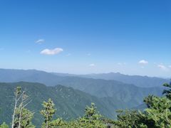 -牛背梁国家森林公园