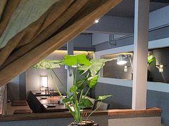 -本处·素食·融合料理(南油店)
