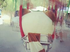 -水上乐园·欢乐世界