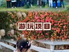-栖露营camping·天幕烧烤·团建拓展·采摘营地