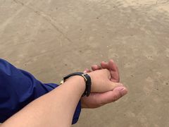 -舟山希尔顿酒店