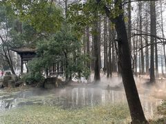 -东湖落雁景区