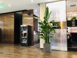 -崇尚GAVIN STYLE臻选