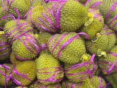 -沈阳市八家子水果批发市场