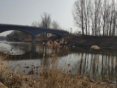 -东郊湿地公园