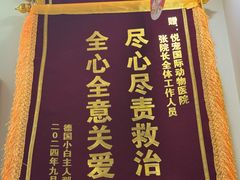 -悦宠凯宝动物医院·牙科·皮肤科(朝阳北路店)