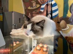 -咖法森林·咖啡  酒吧(天河店)