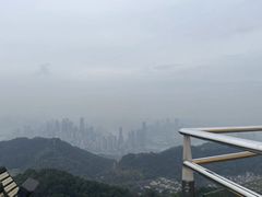 -大金鹰园