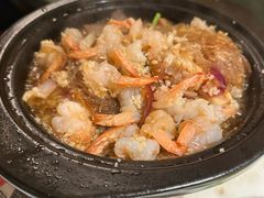 -佬肥猫(国华广场店)