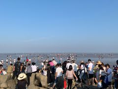 -南汇嘴观海公园