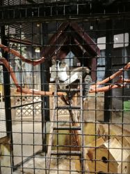 -酷嗒动物文化乐园(cutezoo西溪乐天城店)