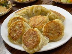 纯牧区羊肉煎烧麦-源玺源烧麦馆(东护城河南街店)
