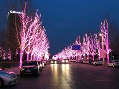 -廊坊固安福朋喜来登酒店