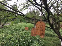 -桤木河湿地公园