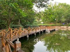 -云岗森林公园