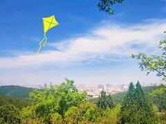 -佛慧山