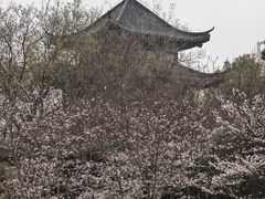 -堤角公园