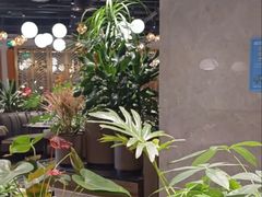 -半秋山西餐厅(巴南万达广场店)