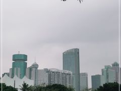 -万绿园