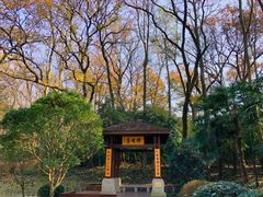 -灵谷景区