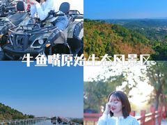 -牛鱼嘴原始生态风景区