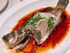 -荣兴酒家(徐家汇店)