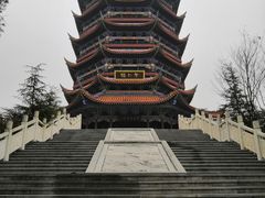 -铁山坪森林公园