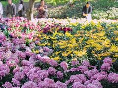 -西湖公园(鼓楼区)