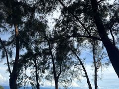 -马奴干岛