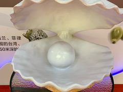 -贝壳王国博物馆