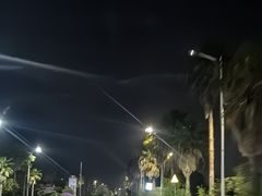 -红树林天天赶海