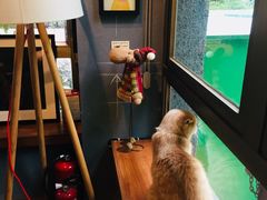 -咖法森林·咖啡  酒吧(天河店)