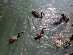 -长白岛森林公园