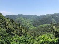 -金龙寺国家森林公园