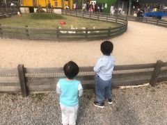 -前小桔亲子创意农场·草莓采摘·露营烧烤