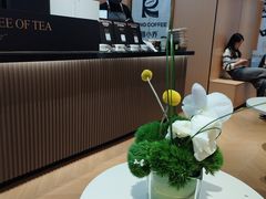 -蓉小乔·RONG COFFEE(春熙路店)