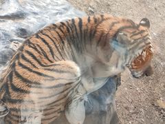 -济南野生动物世界