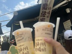 -猫的魔法密林(衣裳街店)