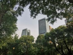 -重庆市江北嘴中央商务区中央公园