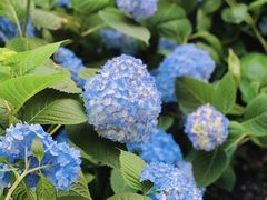 -常州古运河南大街文化旅游区-人民公园