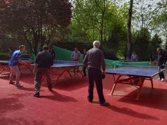 -西安市长乐公园