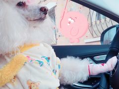 -天津波士信达奔驰4S店(卫津南路店)