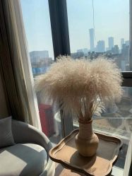 -美肌工坊皮肤管理