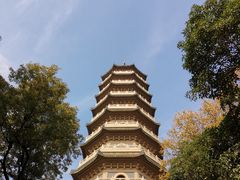 -灵谷景区