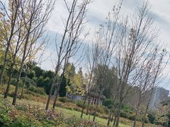 -长春公园(普阳街道)