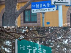 -八大关景区