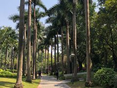 -广州珠江公园